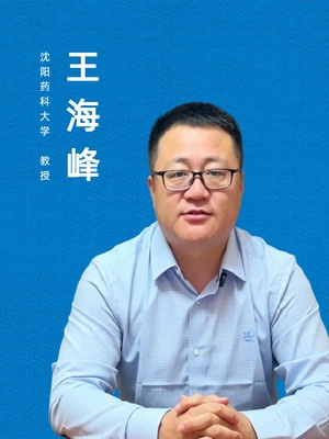 王海峰